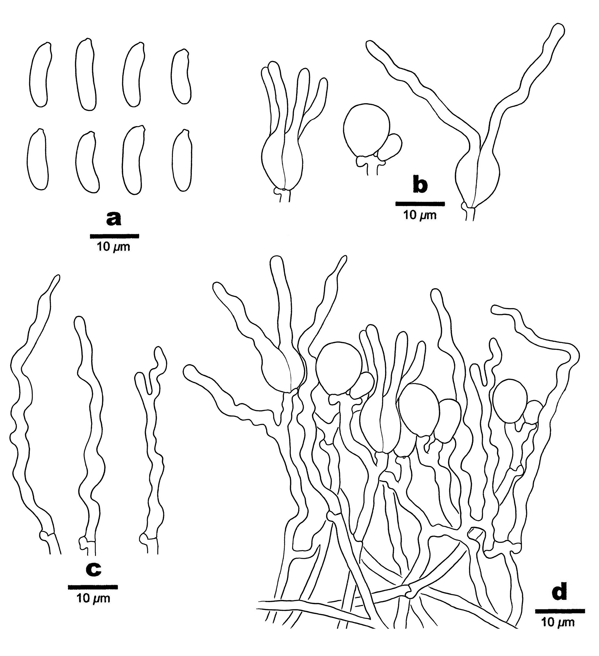 Figure 19